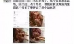 郑州二环爆料事件视频,揭秘城市交通治理背后的故事